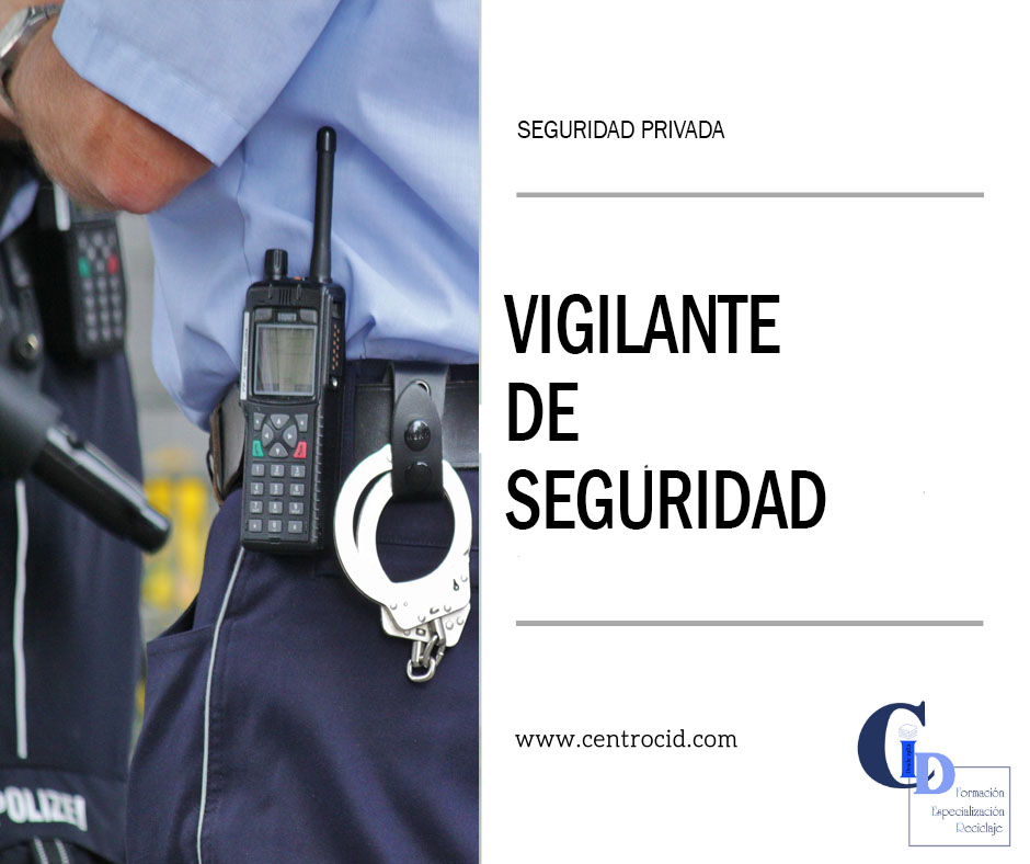 Vigilante Seguridad